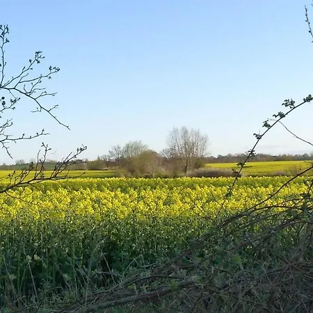 Friese-ostseetraum Comfortable